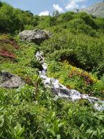 Youri - Ecrins 2005 060